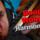 Boogie Woogie Harp