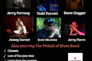 Paradise Coast Harmonica Workshop Florida