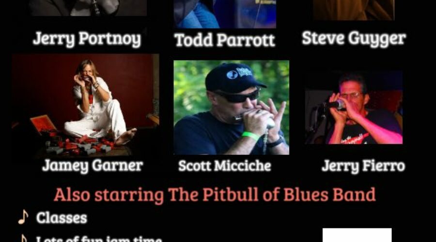 Paradise Coast Harmonica Workshop Florida