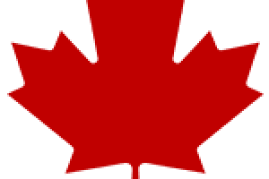 Canadian Harmonica mute