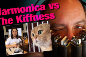 @TheKiffness Harmonica & cats