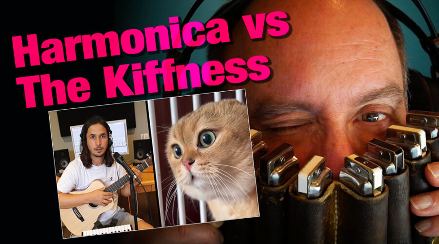 @TheKiffness Harmonica & cats
