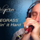 Fast Bluegrass Harmonica