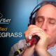 Bluegrass (amplified) Blues-grass?