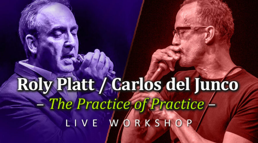 Harmonica workshop carlos del junco roly platt