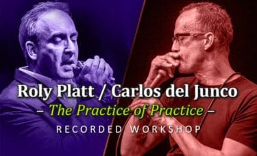 Workshop: Carlos del Junco & Roly Platt: "The Practice of Practice"